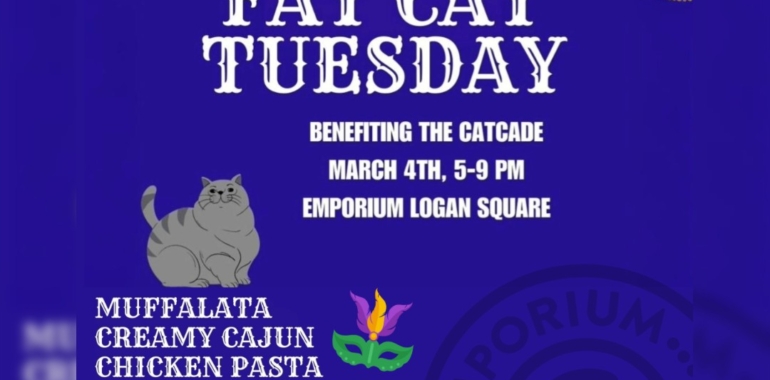 Bite Me Chi Presents: FAT CAT TUESDAY